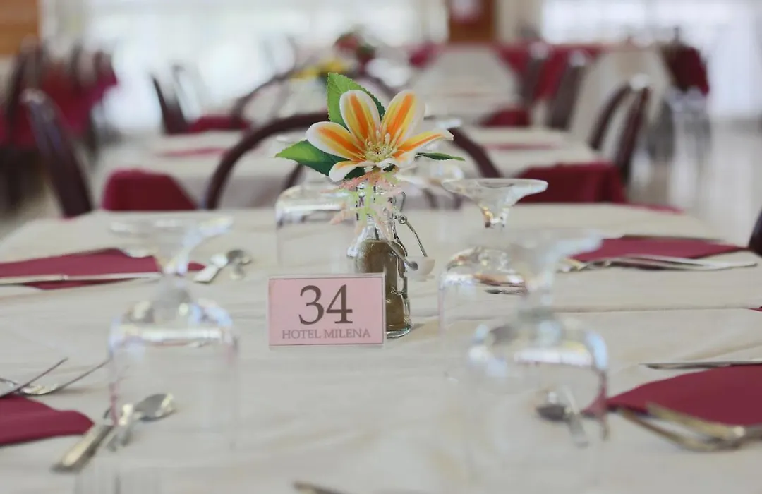 Hotel Milena-1
