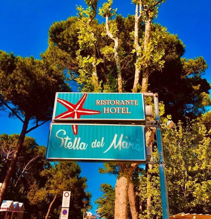 Hotel Stella Del Mare-1