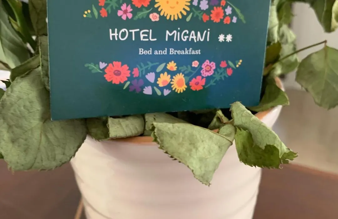 Hotel Migani-1