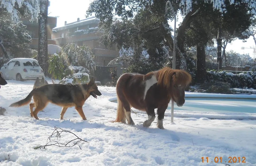 Relais La Canfora-1