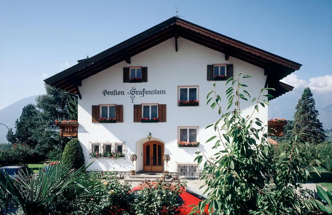 Guesthouse Pension Grafenstein-1