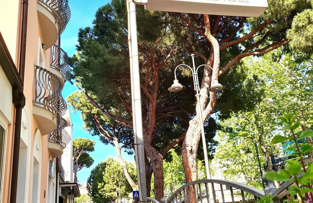 Hotel Laura-1