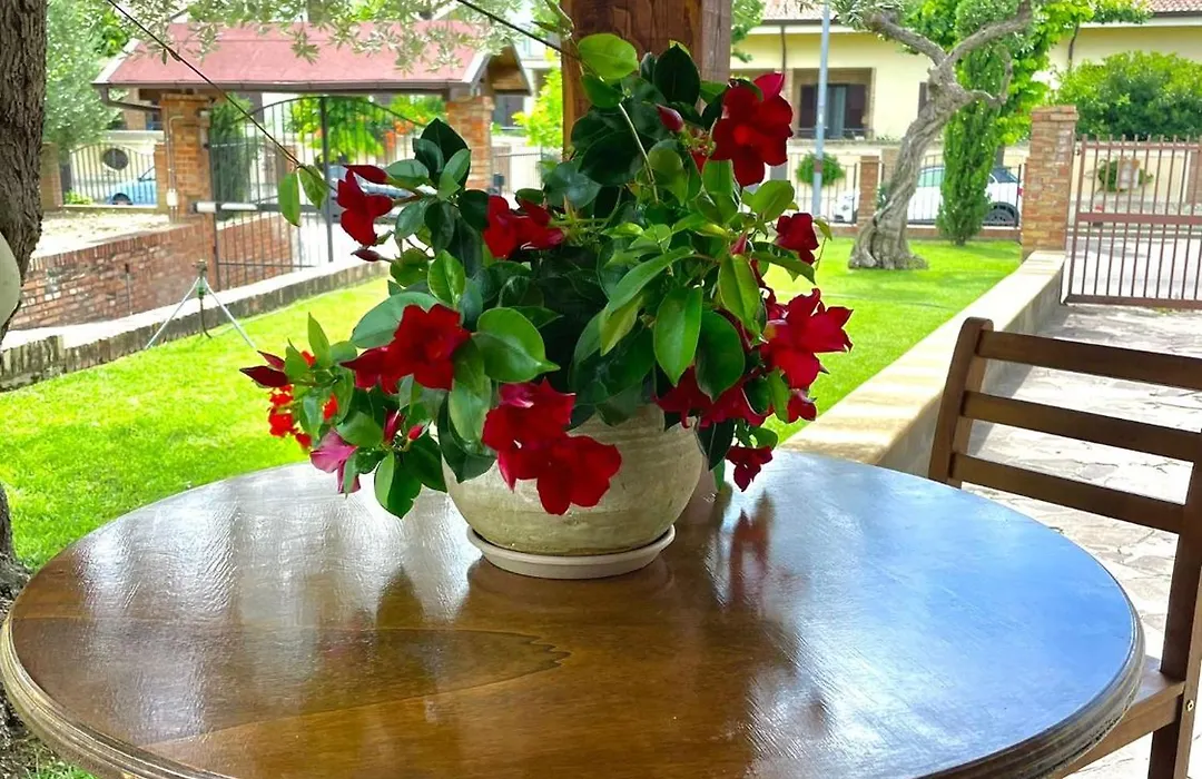 A casa dei nonni B&B-1