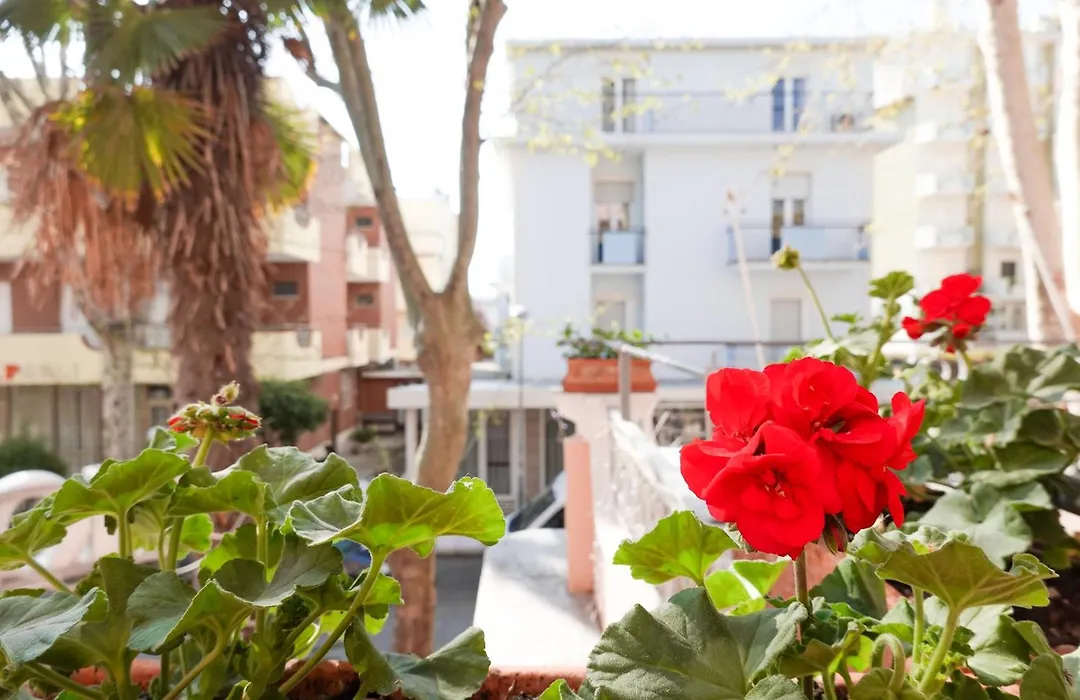 HOTEL LEA B&B Pensione Completa-1