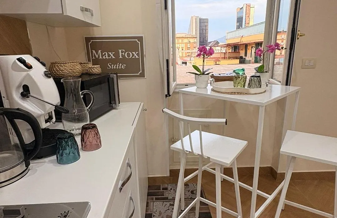 Max Fox Suite-1
