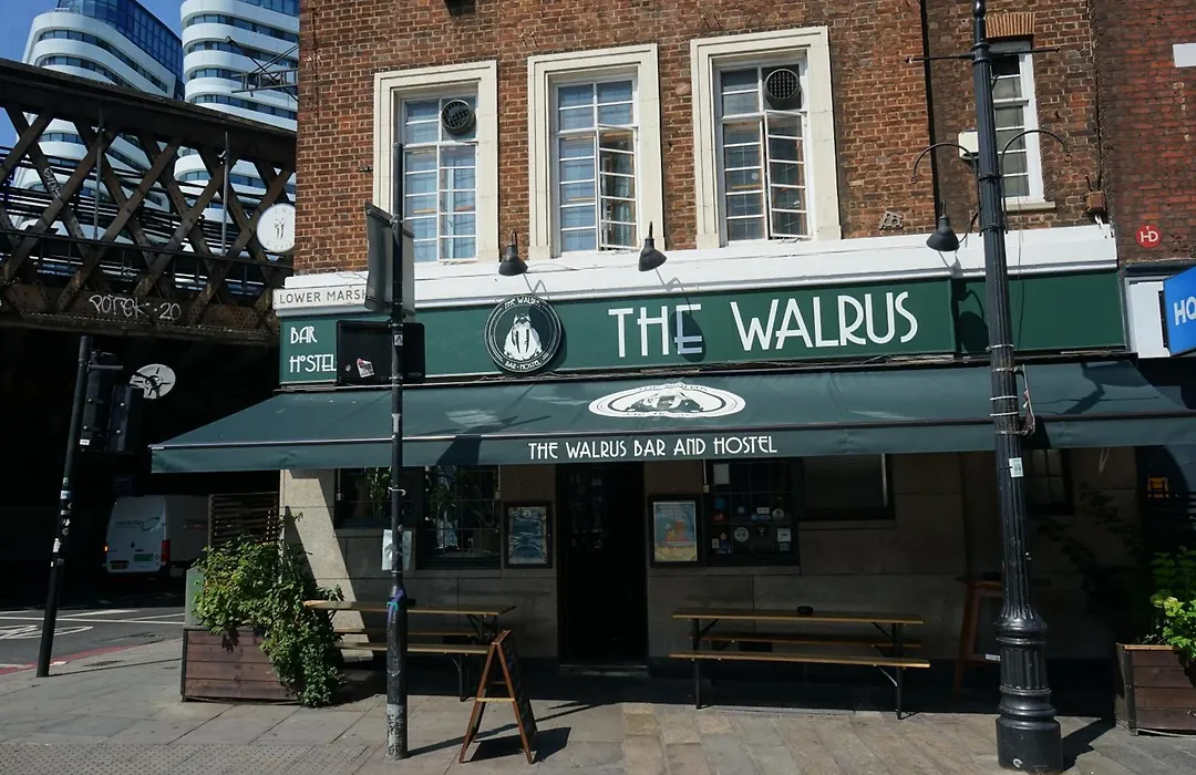The Walrus Bar And Hostel-1