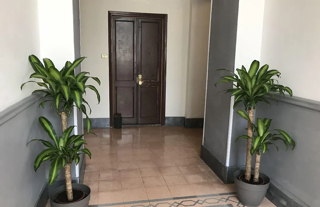 Vatican City Holidays Guesthouse-1