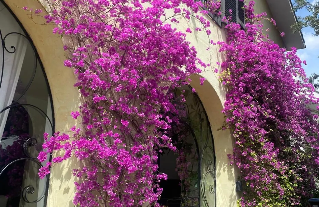 Villa Orsini-1