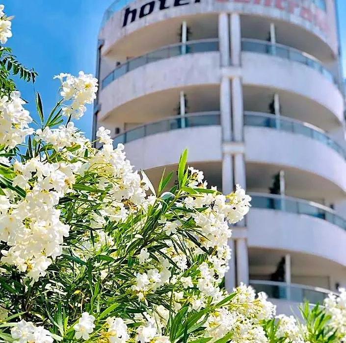 Hotel Centrale-1