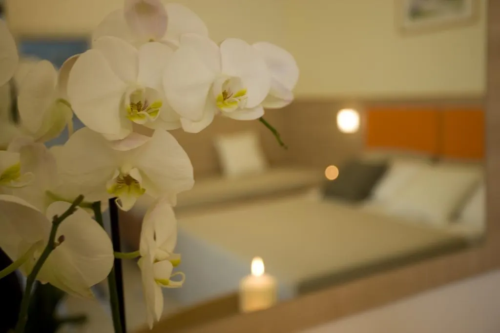 Hotel Consuelo-1