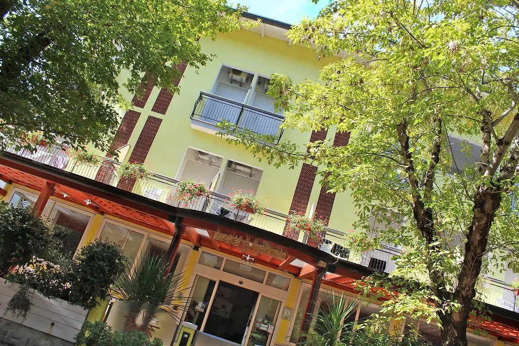 Hotel Metron-1