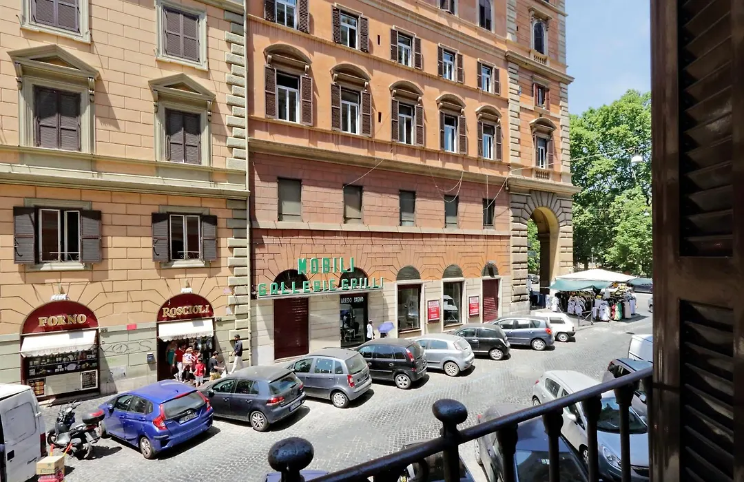 Dandi Domus-1