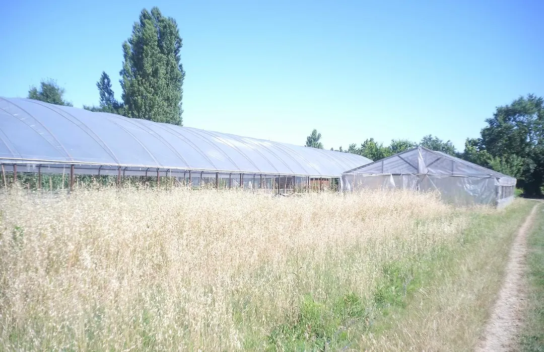 Pian del Pigro-1