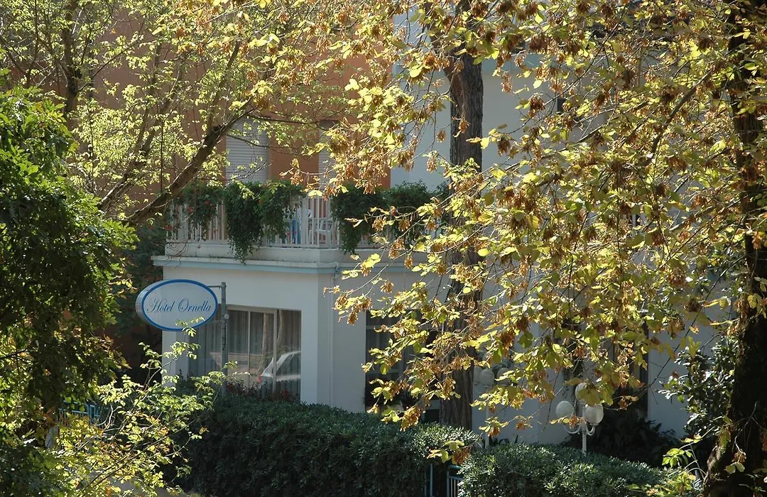 Hotel Pensione Ornella-1