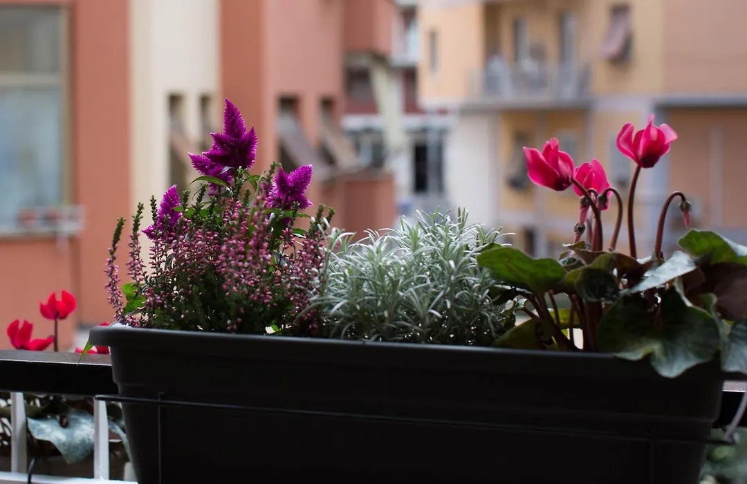 Rome By Suite Vatican-1
