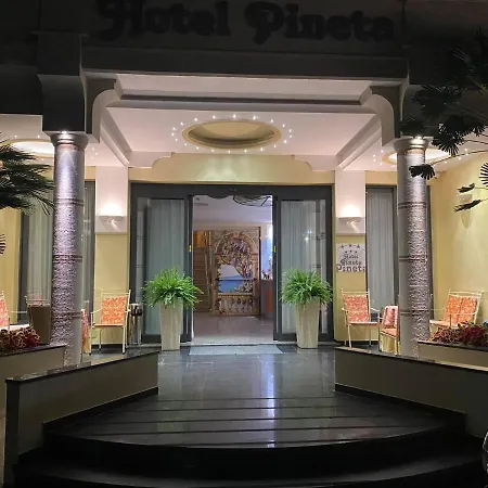 Hotel Pineta-2