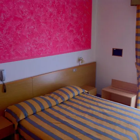 Hotel Altinate-2