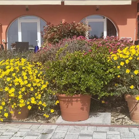Agriturismo La Tuffatrice-3