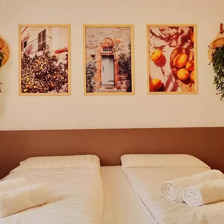 B&B Maya-2