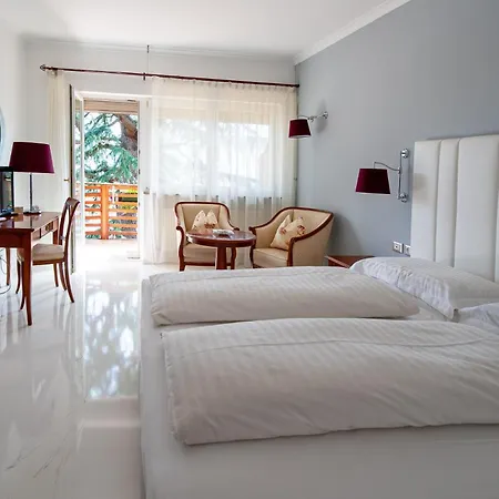 Hotel Aster-2