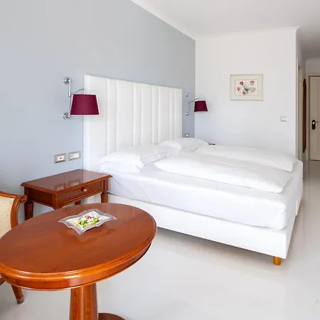 Hotel Aster-3