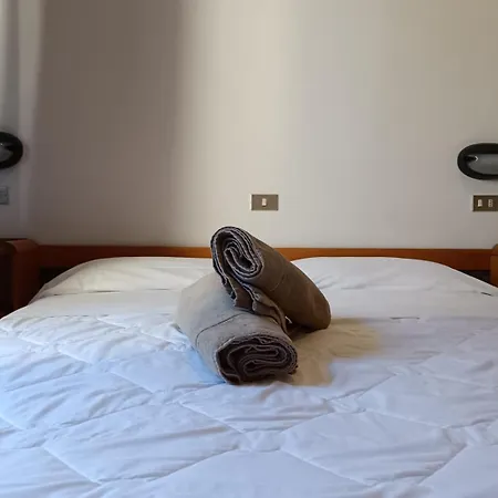 Hotel New Arpa-3