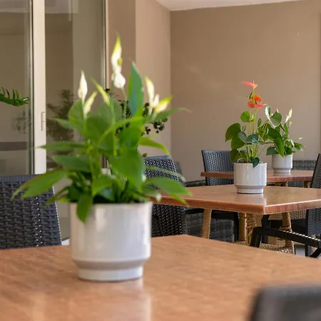 Hotel Carmen-3