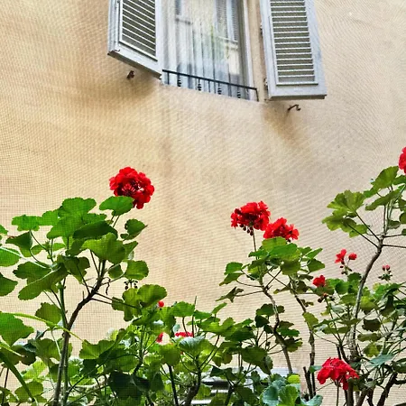 Hotel Cestelli-3