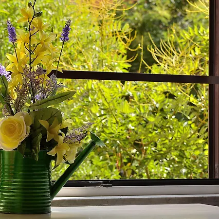 Ottaviano Guest House-2