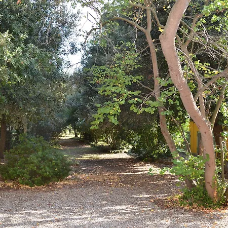 Villa Graziani-2
