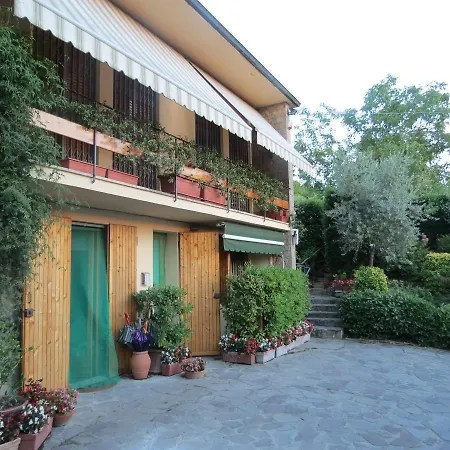 L'ulivo Chiantigiana 115-3
