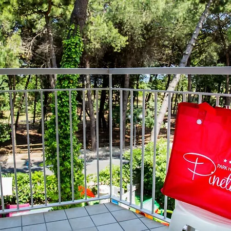 Park Hotel Pineta-3