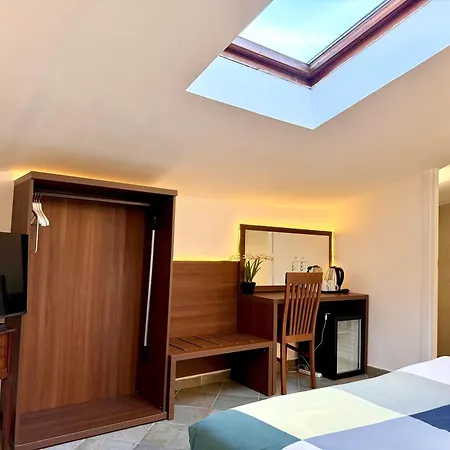 Attic Garden-3