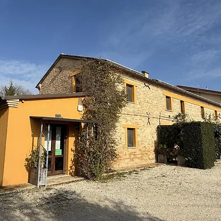 Il Vecchio Scornabecco-3