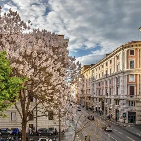 Florea Palace-2