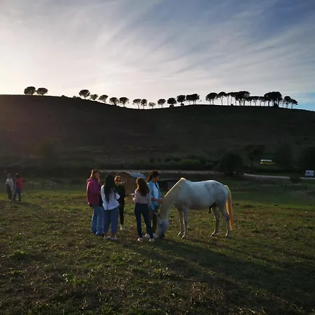 Tenuta Agricola Fonte Di Papa-3