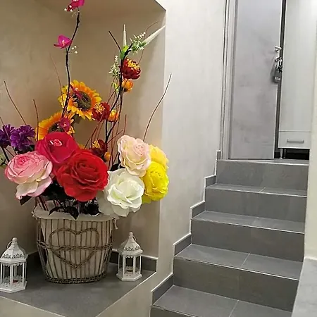 B&B Giò-3
