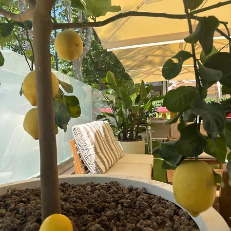 Hotel Dolcevita-3