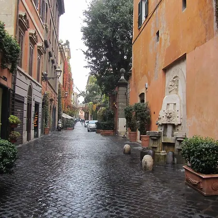 Margutta'S Garden-2