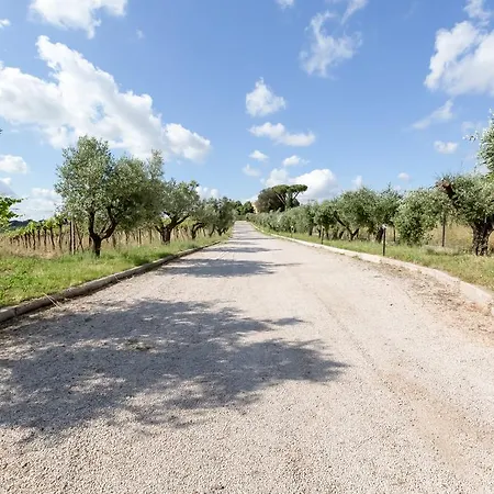 Grappoli di Sole-2