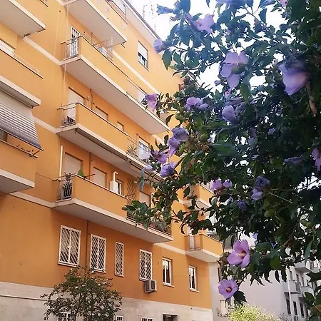Romulea Guest House-2