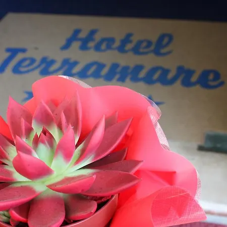 Hotel Terramare-2