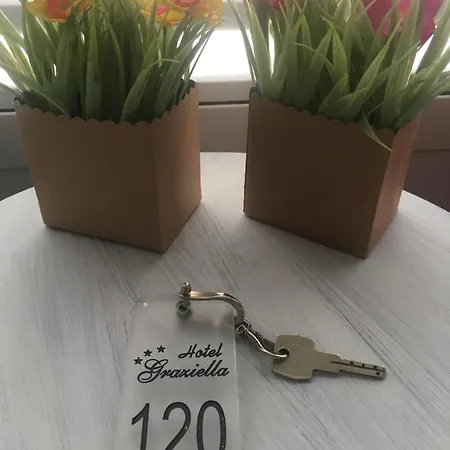 Hotel Graziella-3
