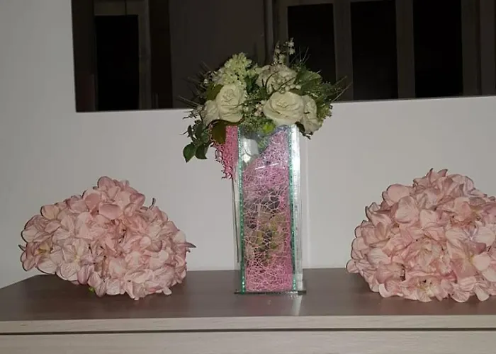 Hotel EconomiciB&B Belvedere