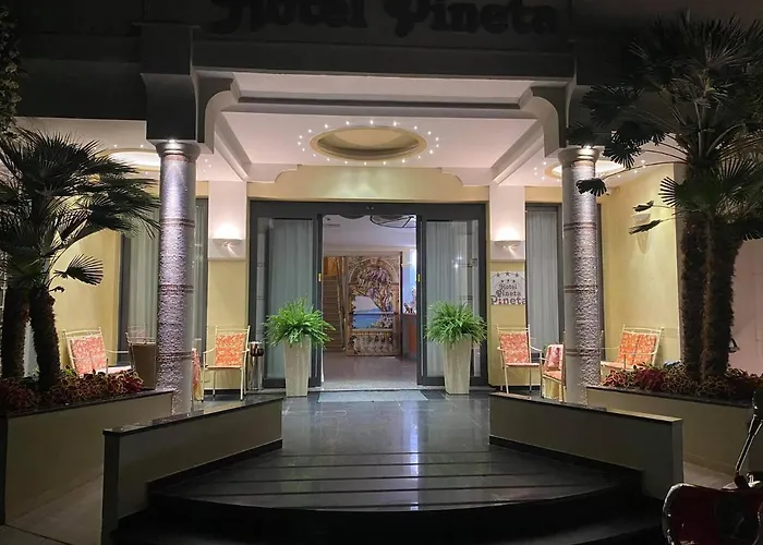 Hotel Pineta Bellaria-Igea Marina