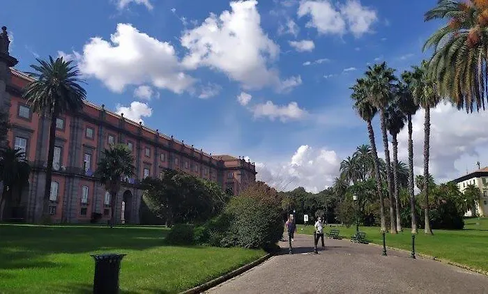 Home Cagnazzi Napoli