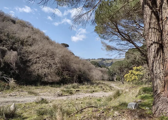 Hotel EconomiciChorisia