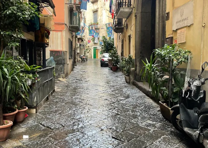 Hotel EconomiciSophia Boutique Home