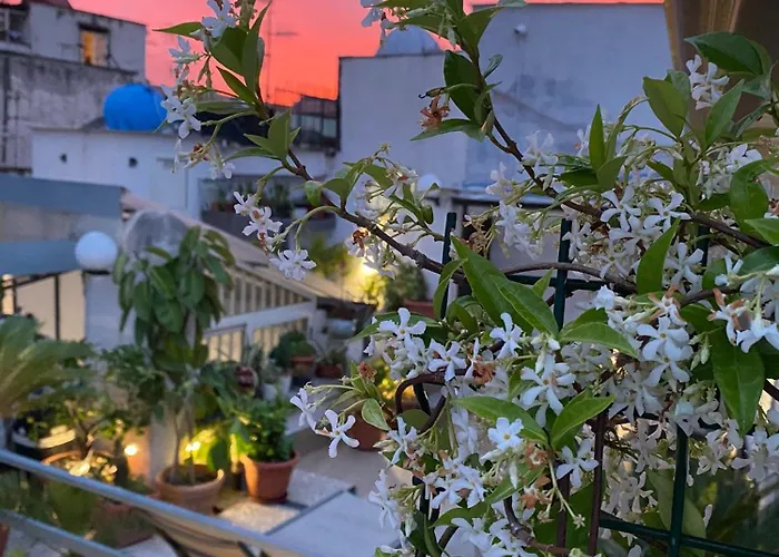 Bed and Breakfast Casa Franzese Napoli