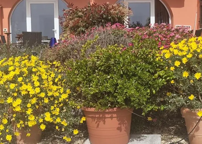 Agriturismo La Tuffatrice Imperia